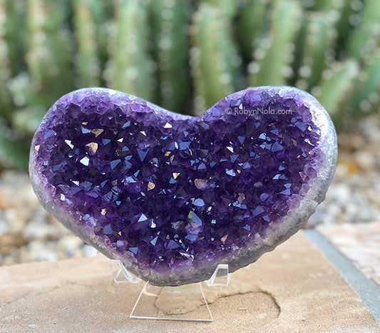 Valentine’s Day: A Celebration of Love and Connection